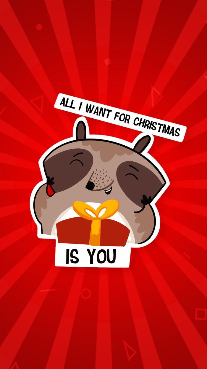 Christmas Raccoon