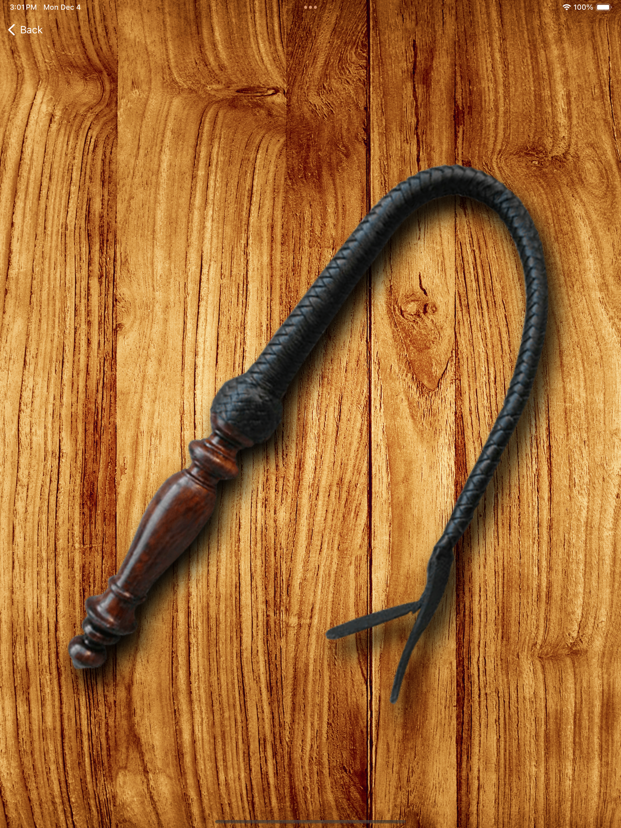 Whip Simulator - Pocket Whip