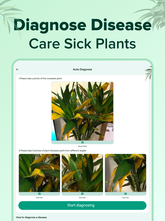 PlantNow-Plant Identification iPad screenshot 6 - Education app