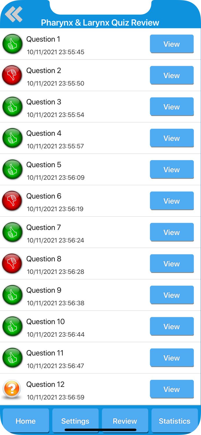 Respiratory System Anatomy