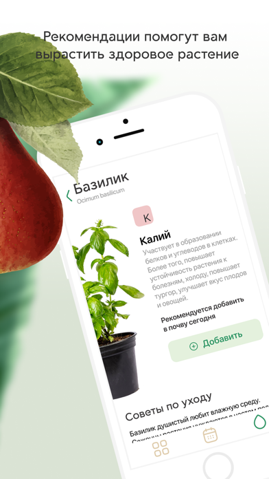 Plant Push Screenshot