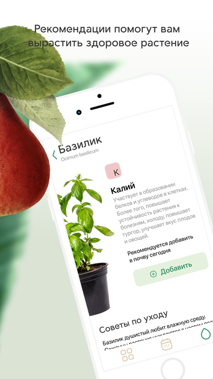 Plant Push screenshot-4