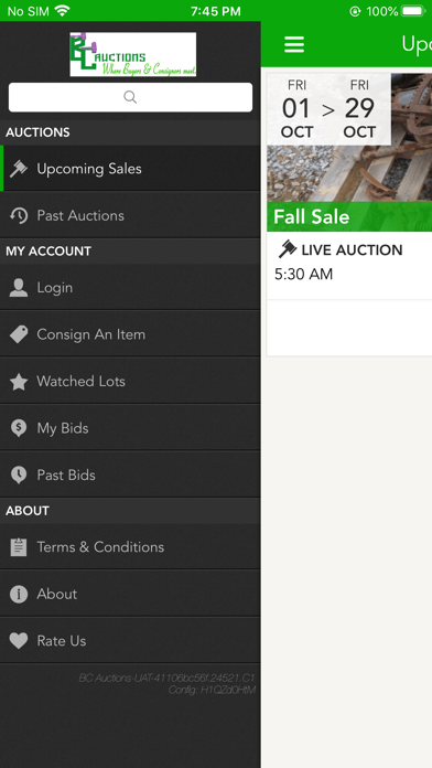 BC Auctions Screenshot