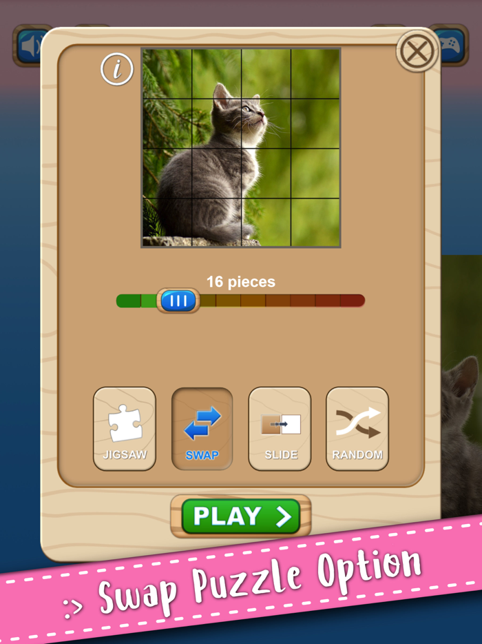 Cute Kitten Cat Jigsaw Puzzle