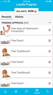 petpage problems & solutions and troubleshooting guide - 3