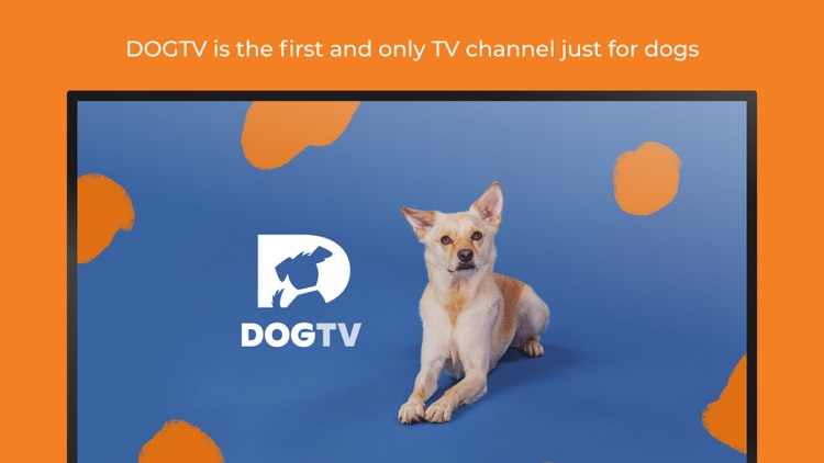 DOGTV