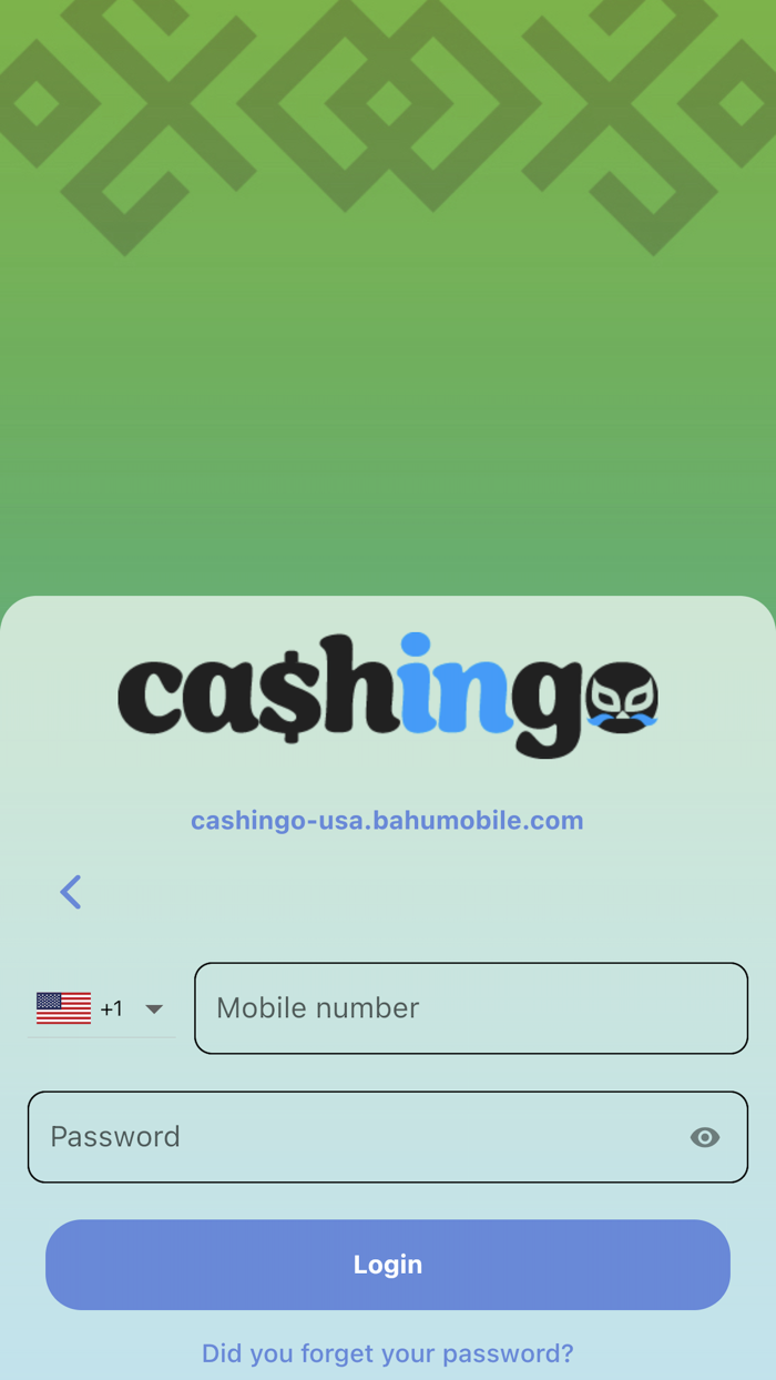 Cashingo USA