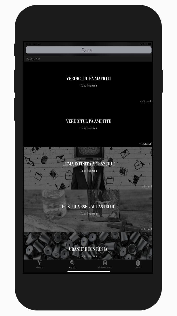 Verdict Dana Budeanu