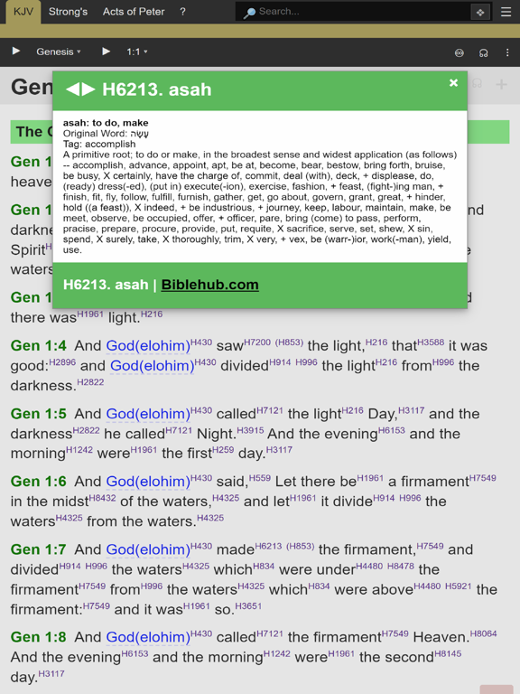 ONE Bible iPad screenshot 3 - Book app