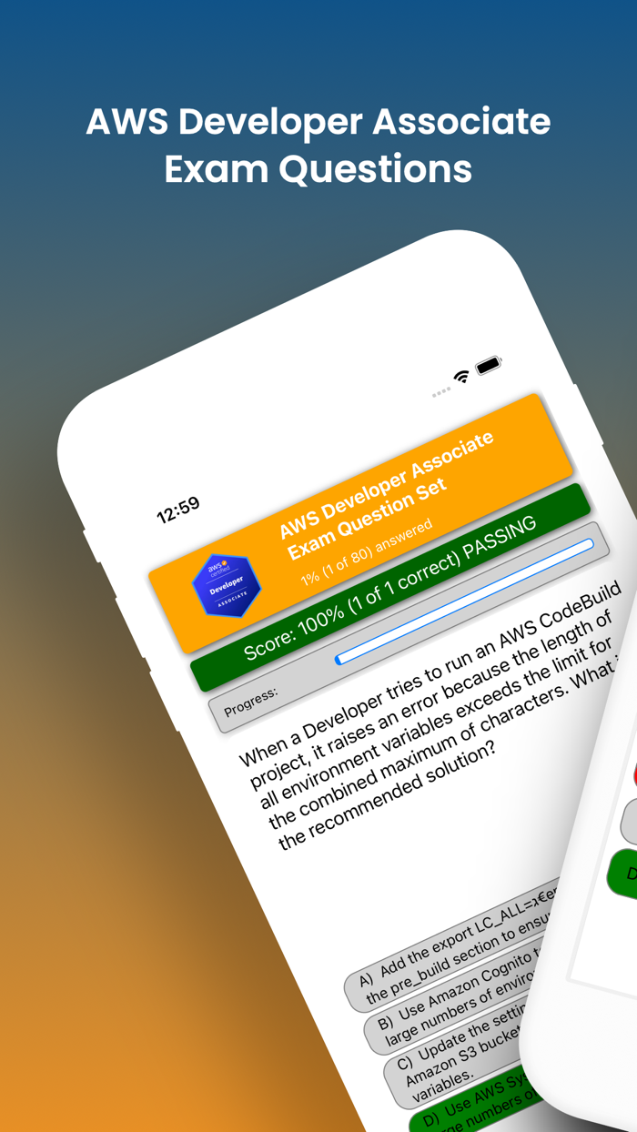 AWS Developer Associate Test