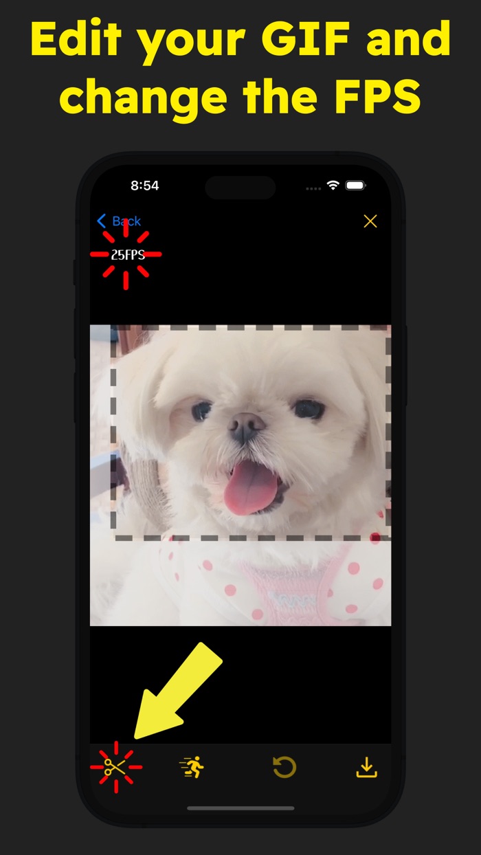 Simple GIF - GIF Maker