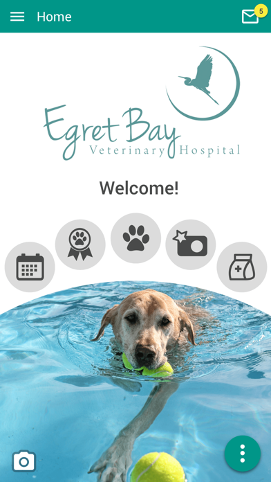 Egret Bay Veterinary Hosp Screenshot