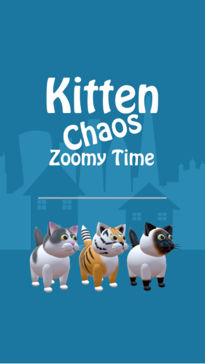 Kitten Chaos Zoomy Time