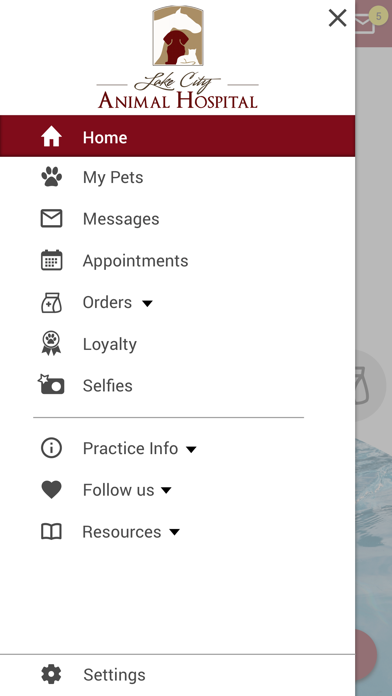 Lake City Animal Hospital FL Screenshot