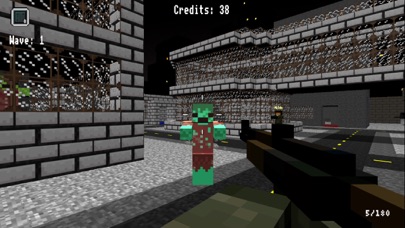Block Warfare Zombies Screenshot