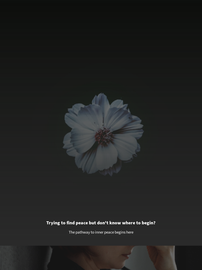 Aligned – Body Mind and Soul