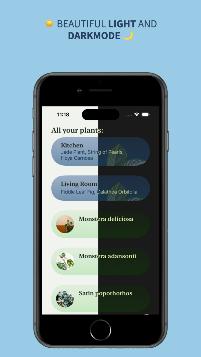 Indoor Plant Garden Planning