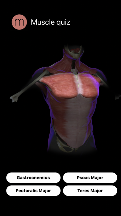 Screenshot #2 pour Muscle Study Guide