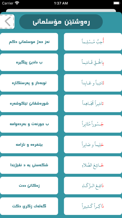 بو زاروكى موسلمان Screenshot
