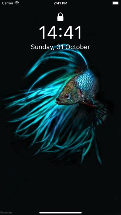 Screenshot #3 pour Betta Fish Wallpapers HD !