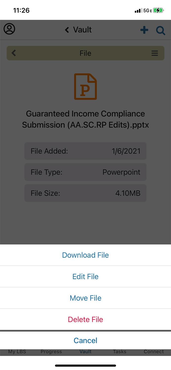 Living Balance Sheet®