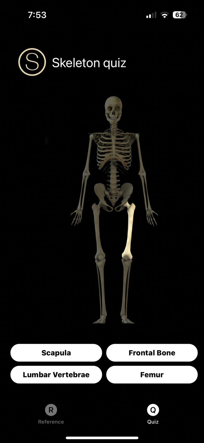 Skeleton Study Guide