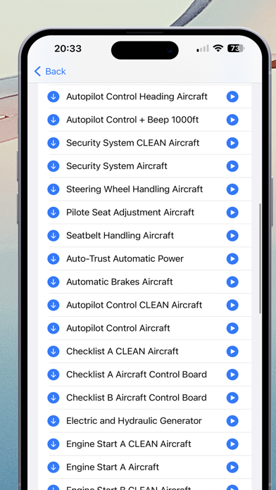 Air Traffic Control Jet Sounds Screenshot