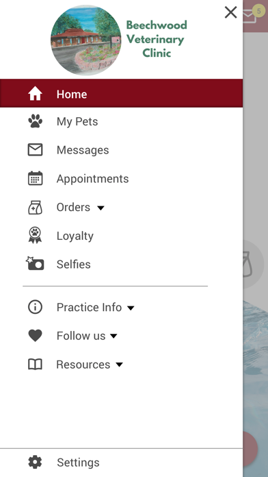 Beechwood Vet Clinic Screenshot