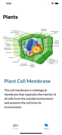 Game screenshot Cell Structure apk