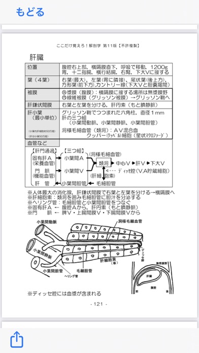 解剖学NOTE 第11版のおすすめ画像8