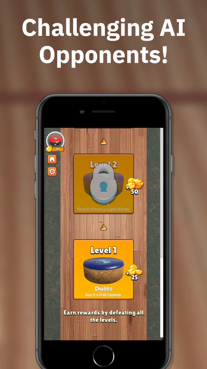 Tabletop Shuffleboard