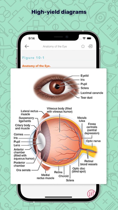 Huppert's Notes: Internal Med Screenshot