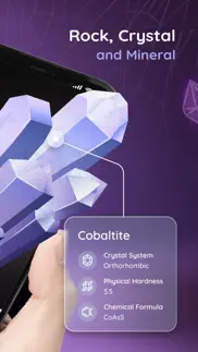 rocksnap: identify crystal pro iphone screenshot 2
