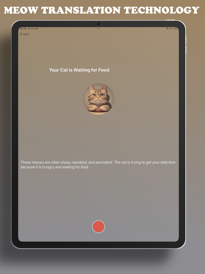 Cat Meow Interpreter