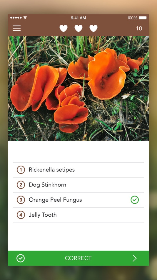 #5. Mushrooms PRO - Hunting Safe (iOS) 由: NATURE MOBILE
