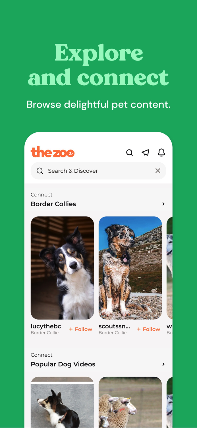 Zoo by Chewy - Pet Community