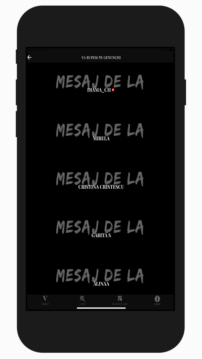 Verdict Dana Budeanu