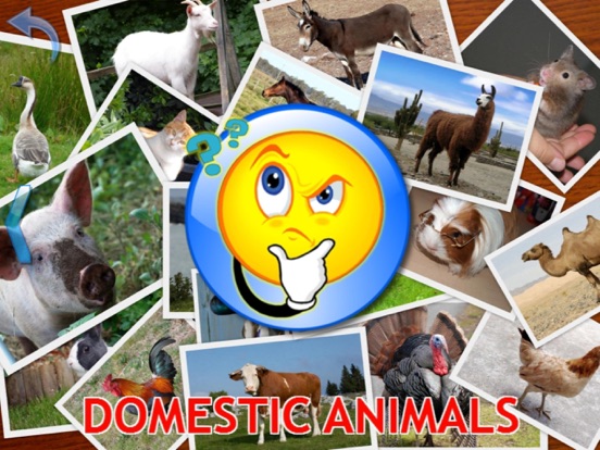 Animals for Kids, toddler game iPad screenshot 5 - Education app