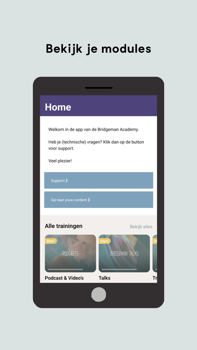 Bridgeman Academy Screenshot