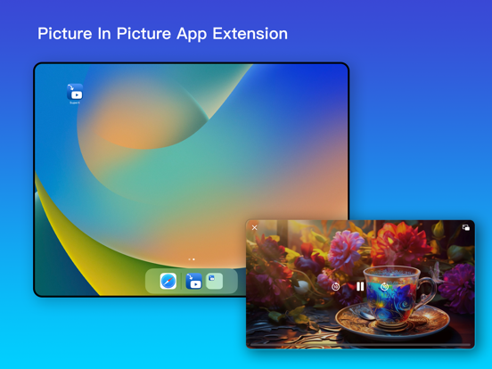 SuperX - PIP Extension iPad screenshot 1 - Productivity app
