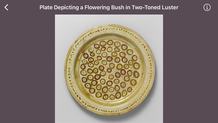 MuseFeed screenshot-5