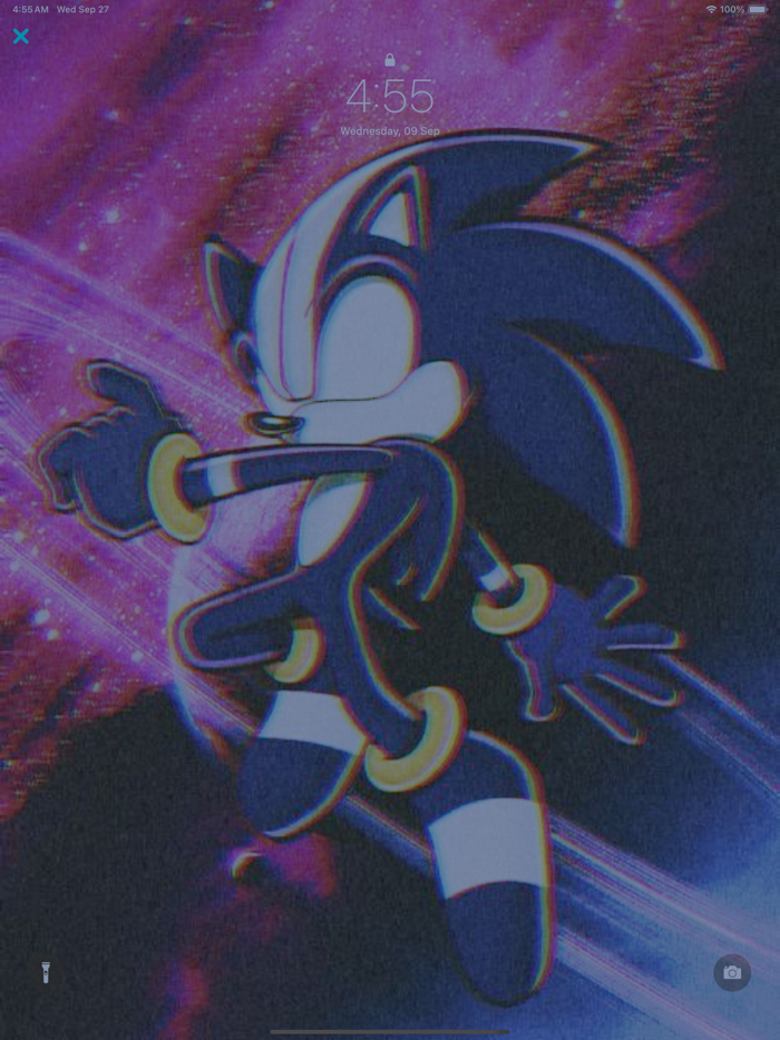 hedge-hog wallpapers 4k