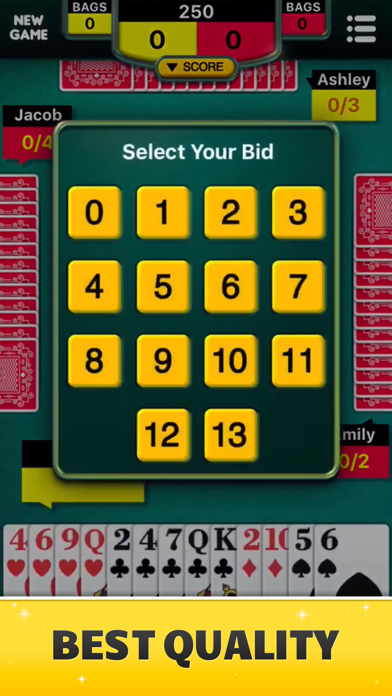 Spades classic card game screenshot 5