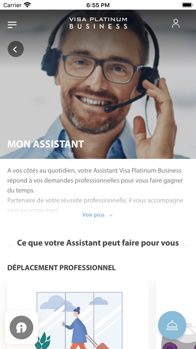 Visa Platinum Business Screenshot