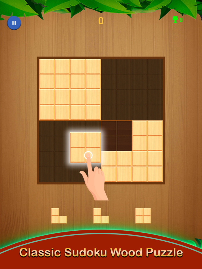 Sudoku Wood Grid Block Puzzle