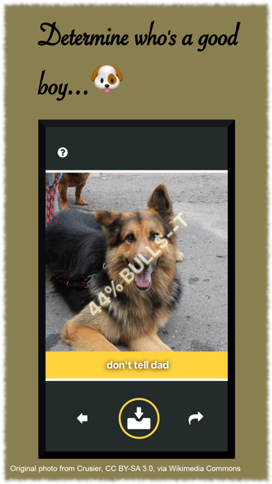 Bull Sniffer Screenshot