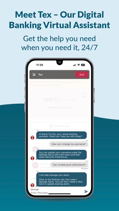 TDECU Digital Banking Screenshot