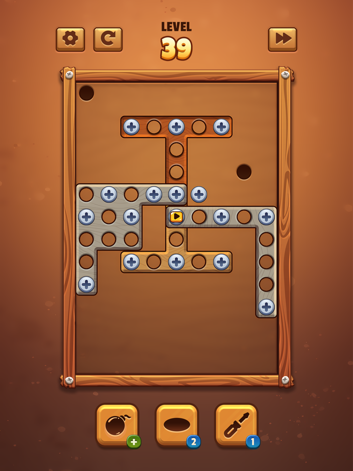 Screw Nuts Bolts  Pin Puzzle