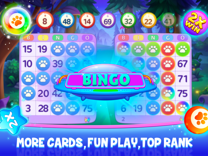 Bingo Wild - Fun Animal Bingo