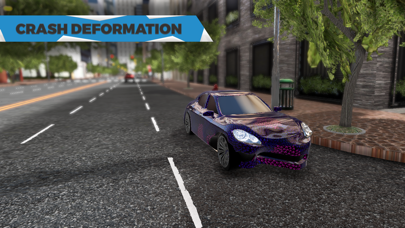 Deluxe Driving Simulator Screenshot